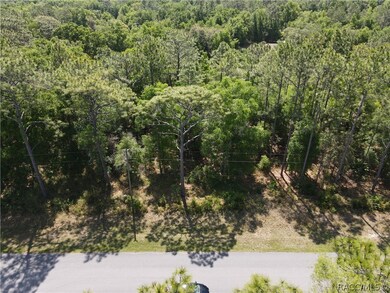 2710 W Century Blvd, Citrus Springs, FL 34434 - photo 2