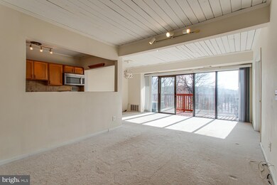 51 Skyhill Rd unit 303, Alexandria, VA 22314 - photo 4