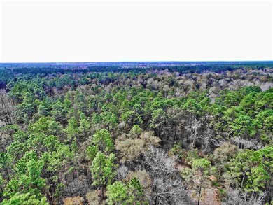 xx Moody Ln, Crawfordville, FL 32327 - photo 5