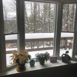 230 Circuit Rd, Ossipee, NH 03864 - photo 5