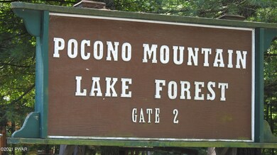 Caribou 2021-07-27 007