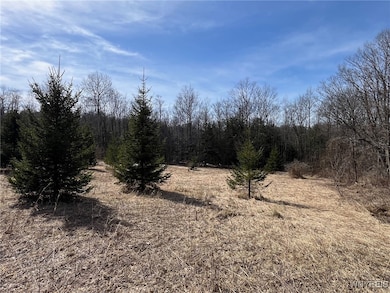 1292 Halls Corners Rd, Attica, NY 14011 - photo 5