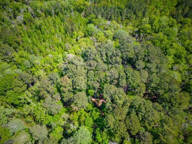 0 Metts-Overstreet Rd, Bristol, GA 31518 - photo 3