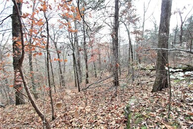 TBD Lazy Brook Rd, Rudy, AR 72952 - photo 5
