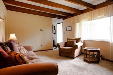 Light and Bright Living Room. New Carpet. Beautifu