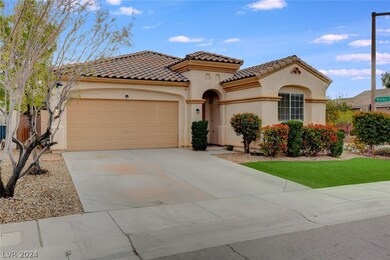 11065 Zarod Rd, Las Vegas, NV 89135 - photo 3