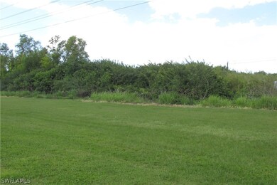 View from back door.