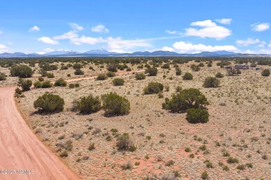 3202 S Canyon Vista Rd, Valle, AZ 86046 - photo 2