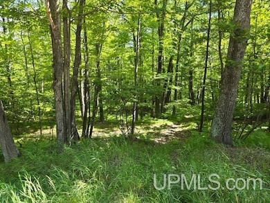 TBD Quinnesec Lake Antoine Rd, Iron Mountain, MI 49801 - photo 3