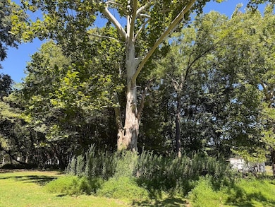 314 S Ash St, Spring Hope, NC 27882 - photo 6