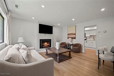 26749 Lake of the Falls Blvd, Olmsted Falls, OH 44138 - photo 7