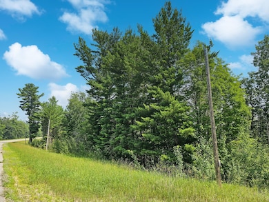 TBD Lower Ten Mile Lake Rd NW, Hackensack, MN 56452 - photo 2