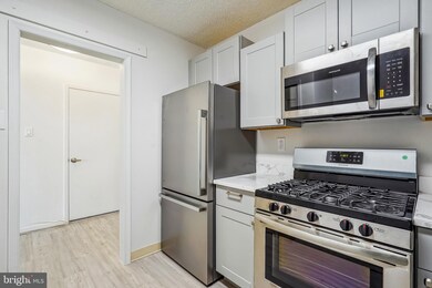 Skyline Plaza unit 818S, Baileys Crossroads, VA 22041 - photo 7