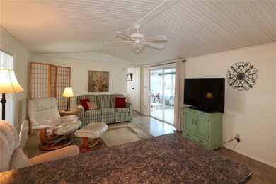 203 N Saint Thomas Cir, Apollo Beach, FL 33572 - photo 5