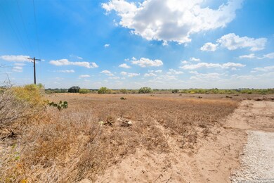 2849 Farm To Market Road 1333, Poteet, TX 78065 - photo 5