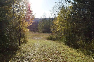 2175 Vt Route 15 Route, Walden, VT 05873 - photo 5