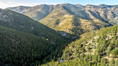 397 Glendale Gulch Rd, Jamestown, CO 80455 - photo 6