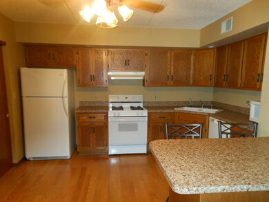 107 Caterpillar Dr unit 1C, Joliet, IL 60436 - photo 3