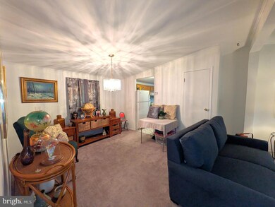 269 Cool Branch Blvd unit 47146, Seaford, DE 19973 - photo 4