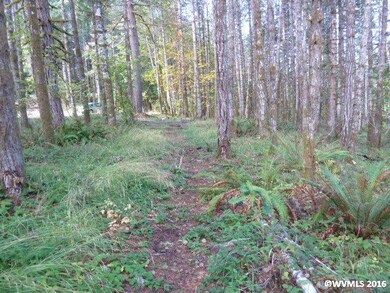 24293 Columbine Dr, Philomath, OR 97370 - photo 6