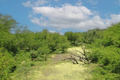 unlisted-address, Alice, TX 78332 - photo 3