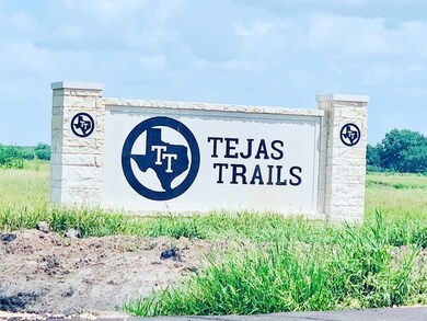 11203 Fannin Trail Ct, Needville, TX 77461 - photo 6