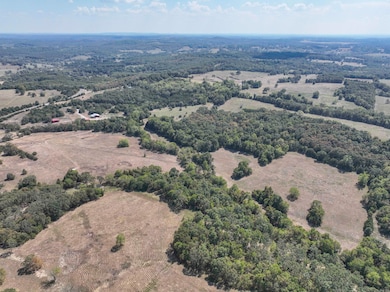 000 Route Af, Ava, MO 65608 - photo 5