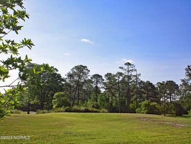Tiger's Eye Hole #8