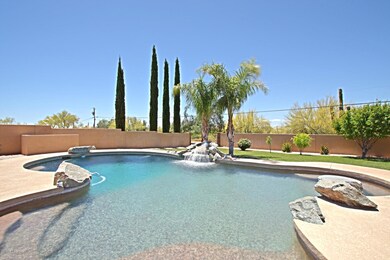 Backyard 6