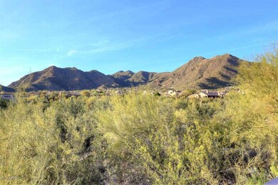 Backyard views