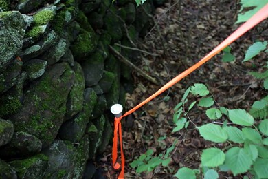 910 Maple Ln, West Danville, VT 05873 - photo 7