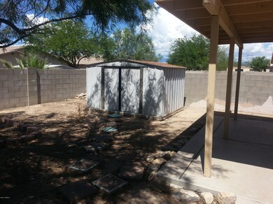 back yard 2