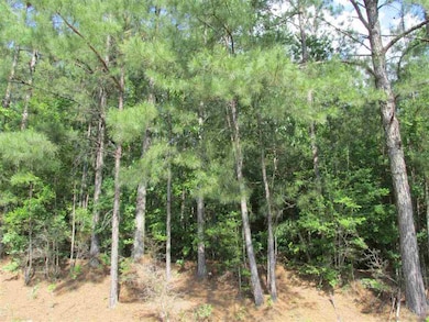 Additional View