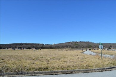 0 Stokenbury Farms unit 1007064, Elkins, AR 72727 - photo 3