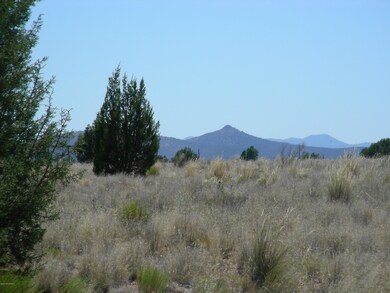 unlisted-address, Paulden, AZ 86334 - photo 6