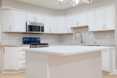 8226 Bob o Link Rd, Orland Park, IL 60462 - photo 7