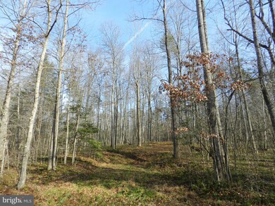 3 Hart Ct, Culpeper, VA 22701 - photo 2