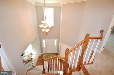 42350 Equality St, Chantilly, VA 20152 - photo 6