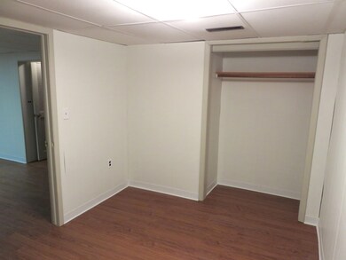 781 E Lincoln Ave, Des Plaines, IL 60018 - photo 3