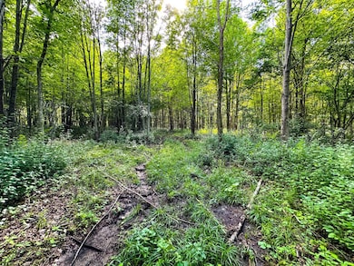 TBD U S 12, Wilson, WI 54027 - photo 3