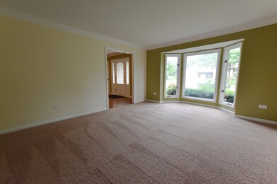 1036 Sheringham Dr, Naperville, IL 60565 - photo 4