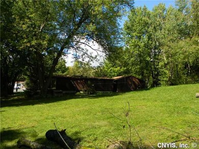 Yard/Garden