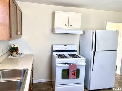 828 Pulaski St, Lincoln, IL 62656 - photo 2