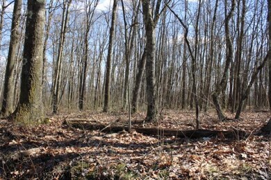 Lot 2 Sand Bank Heights Rd, Masontown, WV 26542 - photo 4