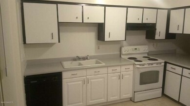 Leo newly painted kitchen