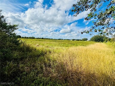 3400 Packinghouse Rd unit 3, Alva, FL 33920 - photo 2