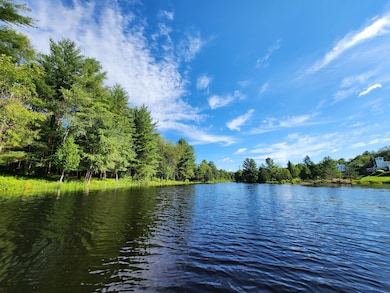 13167 Mc Coy Rd, Natural Bridge, NY 13665 - photo 3