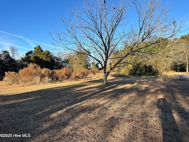 814 Luther Banks Rd, Beulaville, NC 28518 - photo 2