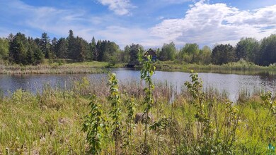 80048 Waters of Vermilion Rd unit Tamarack Trail, Greenwood Township, MN 55790 - photo 3