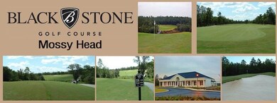 Blackstone Golf Course.jpg